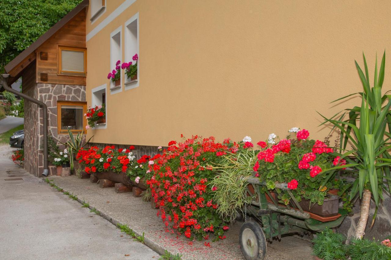 Appartamento Apartma Erlah Bohinj Esterno foto